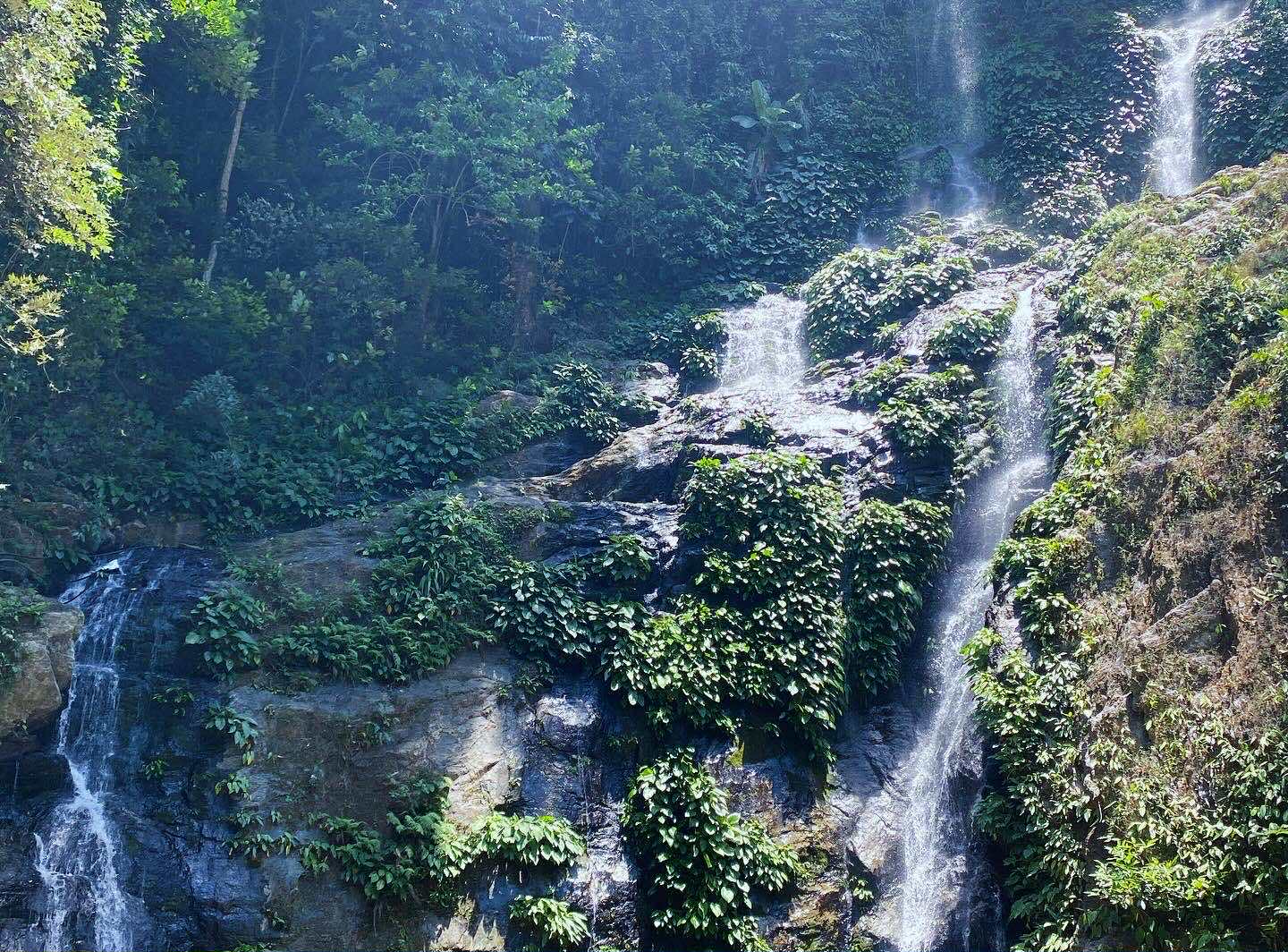 Tamaraw Falls
